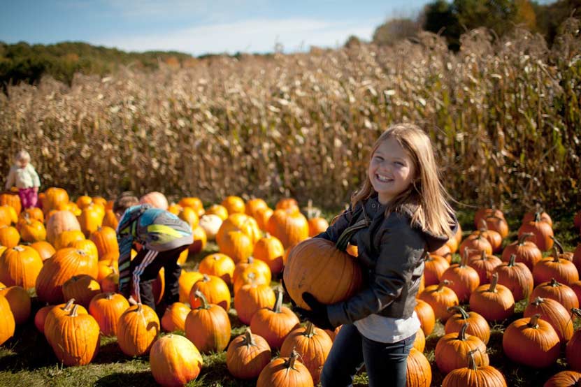 What does Fall mean for your kids?