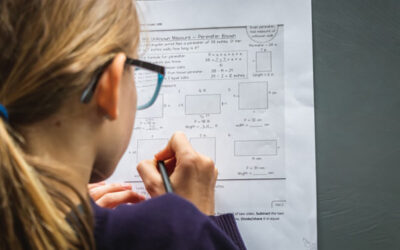 Test-Taking Tip #4:  How to Strategize on all Math Tests